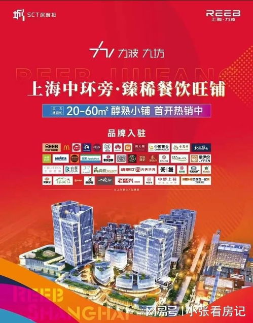 上海力波九坊 閔行 力波九坊 樓盤詳情 力波九坊 房價(jià) 歡迎您
